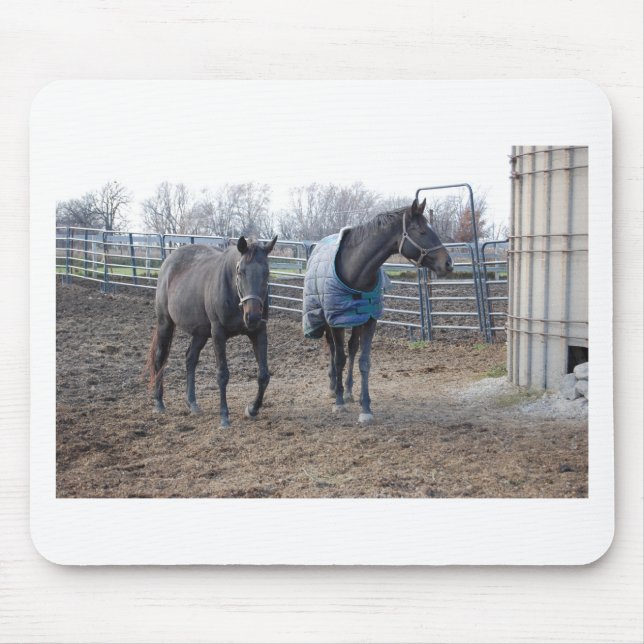 Barn Farm Horse Buddies Mouse Pad (Front)