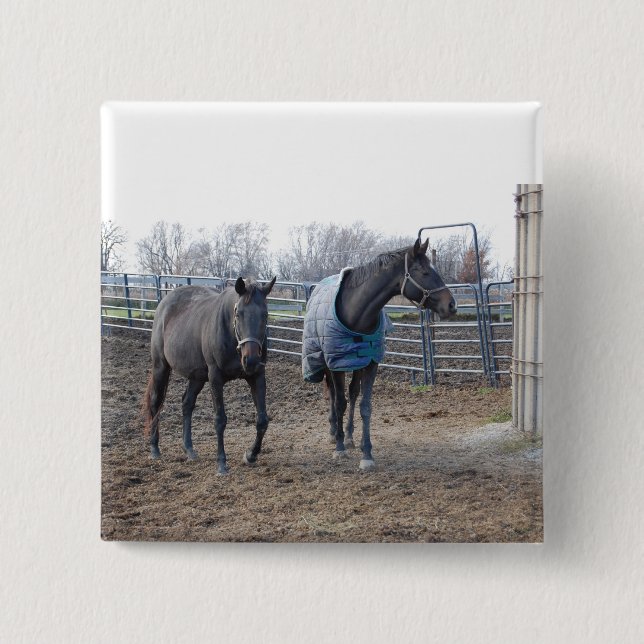 Barn Farm Horses 2 Inch Square Button (Front)