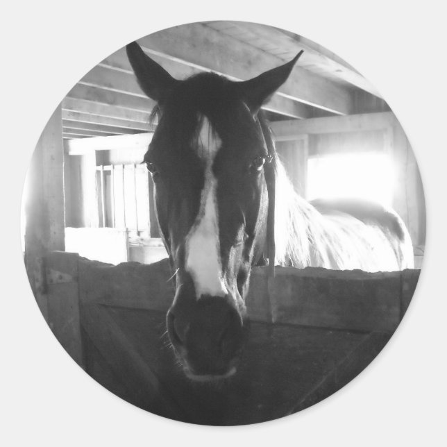 Barn Horse Classic Round Sticker (Front)