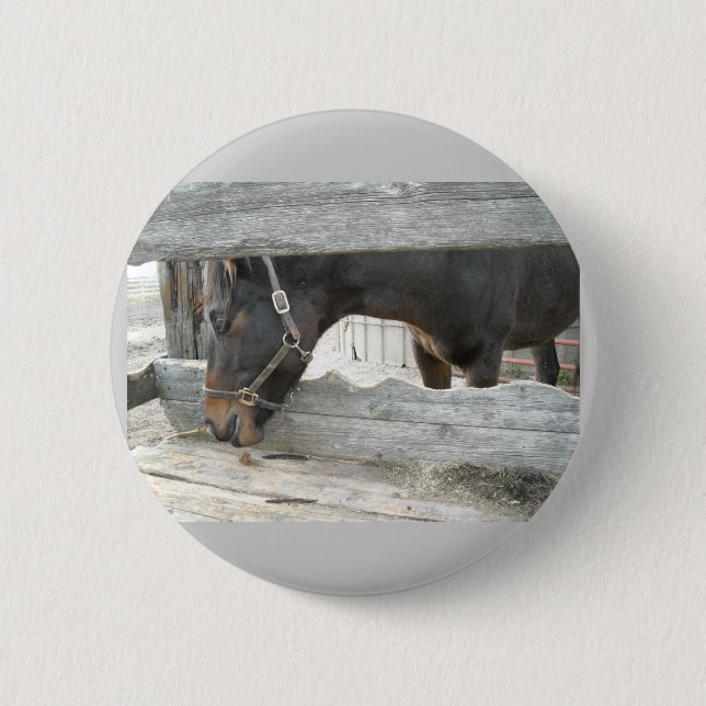 Barn Horse Humour 2 Inch Round Button (Front)