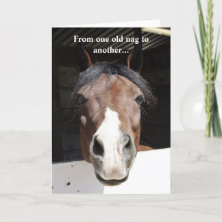 Barn Horse, old nag, happy birthday card