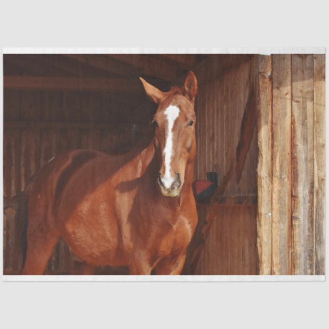 barn horse tissue paper (Front)