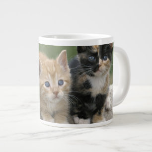 Barn Kittens on a Horse Blanket Large Coffee Mug