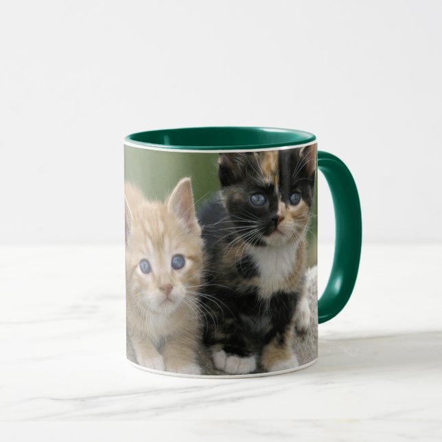 Barn Kittens on a Horse Blanket Mug (Front Right)