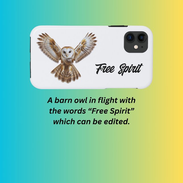 Barn Owl  (Creator Uploaded)