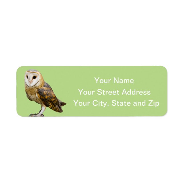 Barn Owl (Front)
