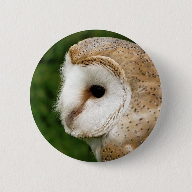BARN OWL 2 INCH ROUND BUTTON (Front)