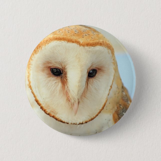 Barn owl 2 inch round button (Front)
