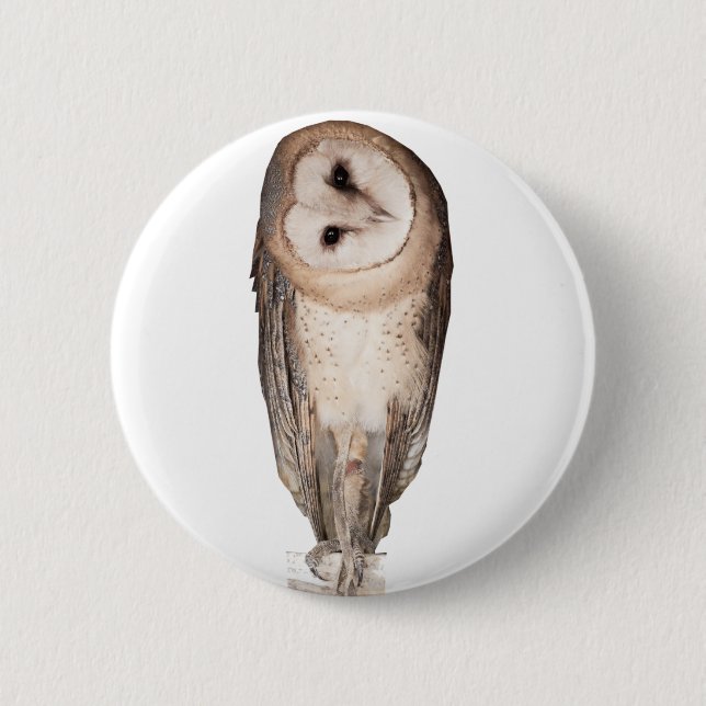 Barn owl 2 inch round button (Front)