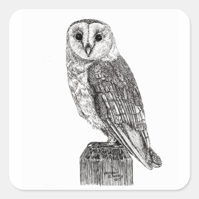 Barn Owl 2 Stickers (Front)