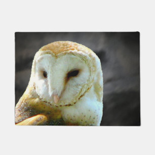 Barn Owl Against Night Clouds Doormat