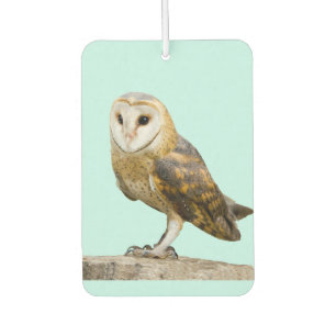 Barn Owl Air Freshener