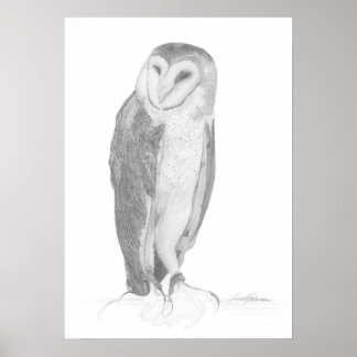 Barn Owl | Art Print
