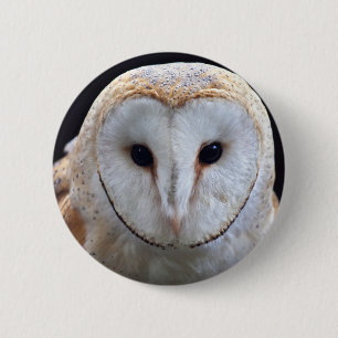 Barn Owl Badge 2 Inch Round Button