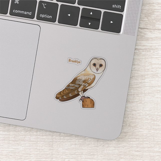 Barn owl bird cartoon illustration (Detail)
