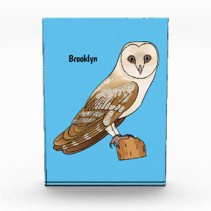 Barn owl bird cartoon illustration photo block