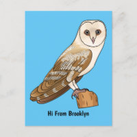 Barn owl bird cartoon illustration