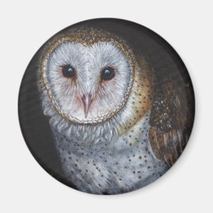 Barn Owl Bird Original Painting Art Magnet