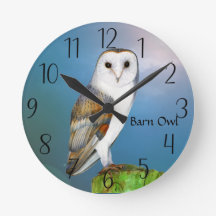 Barn Owl Bird Watercolor Painting Watch