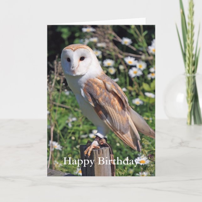 Barn Owl Birthday Card (Front)