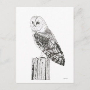 Barn Owl - Blank Postcard