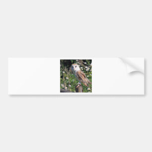 Barn Owl Bumper Sticker