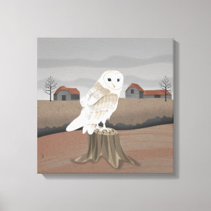 Barn Owl Canvas Print