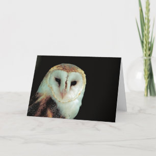 Barn Owl Card