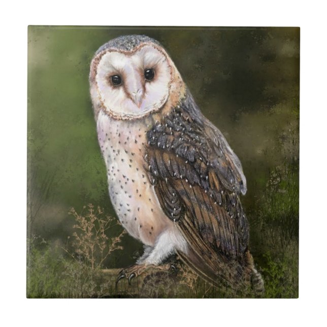 Barn Owl Ceramic Tile (Front)
