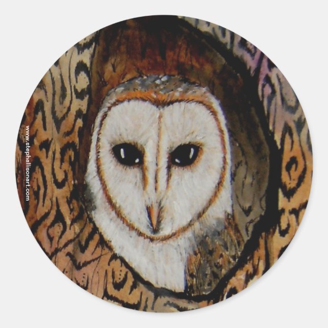 Barn Owl Classic Round Sticker (Front)