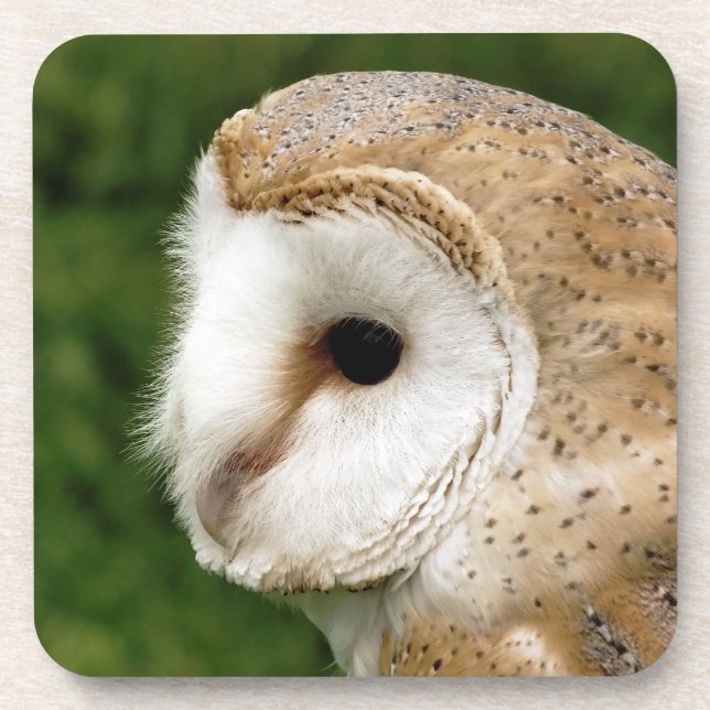 BARN OWL COASTER (Front)