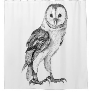 Barn Owl - Drawing In Black Pen