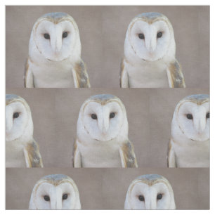 Barn Owl Fabric