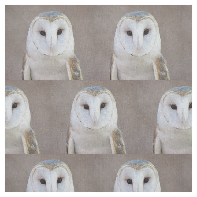 Barn Owl Fabric (Swatch)