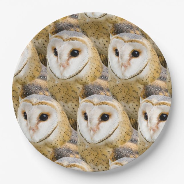 Barn Owl Faces Paper Plate (Front)