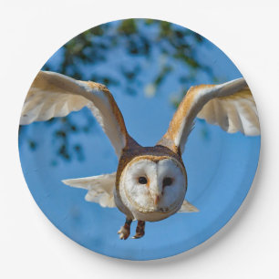 Barn Owl Flight Photo Paper Plate