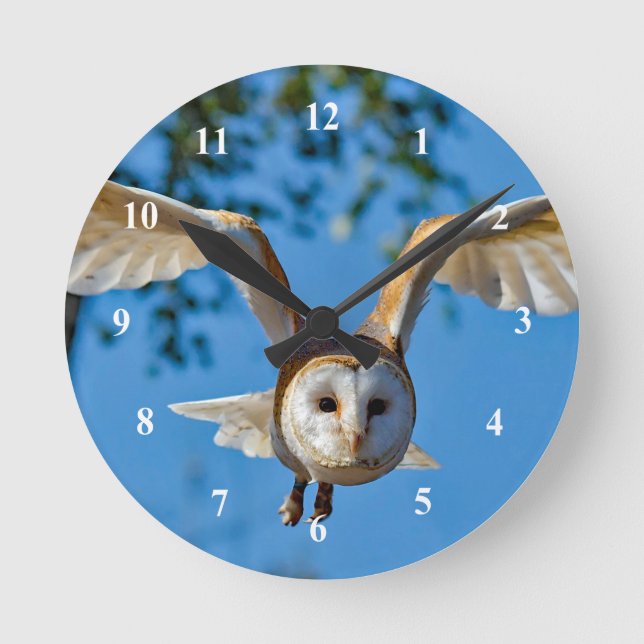 Barn Owl Flight Photo Round Clock (Front)