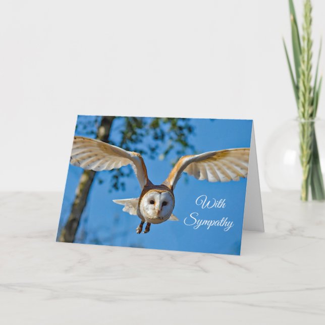 Barn Owl Flight Photo Sympathy Card (Front)