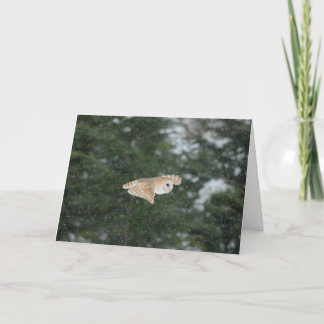 Barn owl flying in the snow card