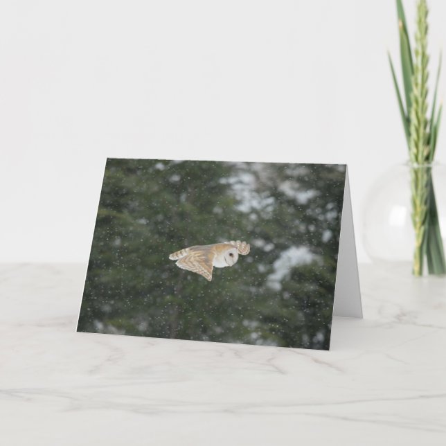 Barn owl flying in the snow card (Front)