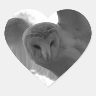 Barn Owl Heart Sticker