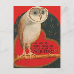 Barn Owl Heart Tree Stars Valentine Holiday Postcard