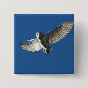 Barn Owl in Daytime Flight 2 Inch Square Button
