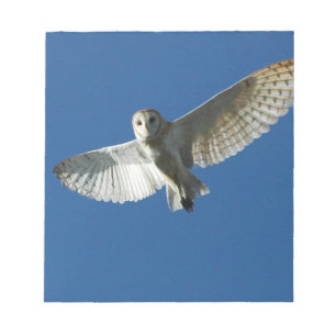 Barn Owl in Daytime Flight Notepad