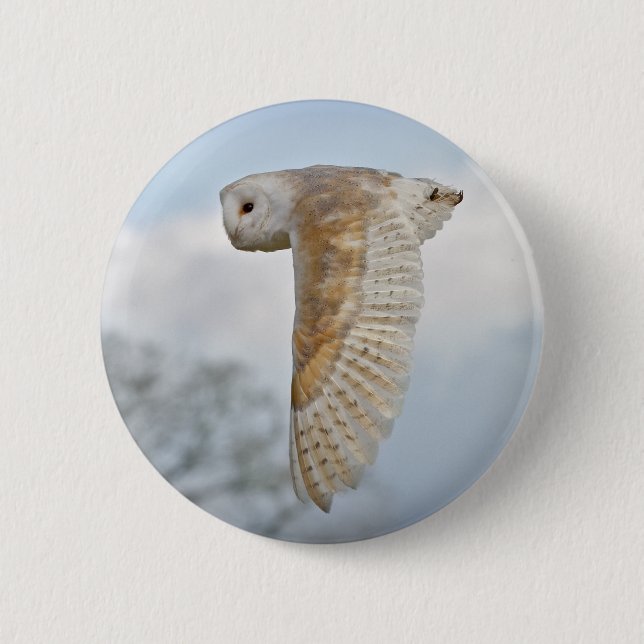 Barn Owl in Flight Badge 2 Inch Round Button (Front)