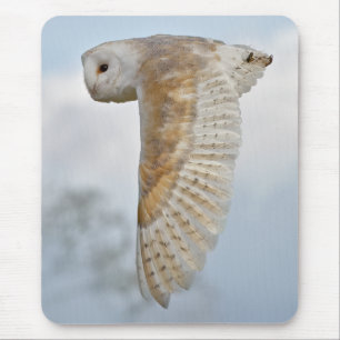 Barn Owl in Flight Mousemat Mouse Pad