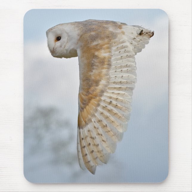Barn Owl in Flight Mousemat Mouse Pad (Front)