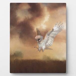 Barn Owl in Flight  Plaque