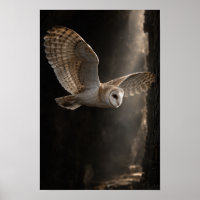 Barn Owl in Flight Through Dramatic Light Wildlife