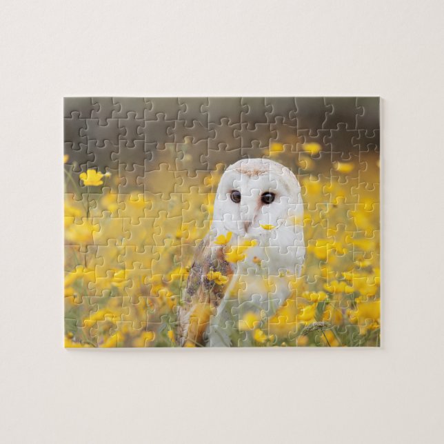 Barn Owl in Yellow Flower Field Jigsaw Puzzle (Horizontal)